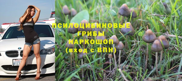 мескалин Приозерск