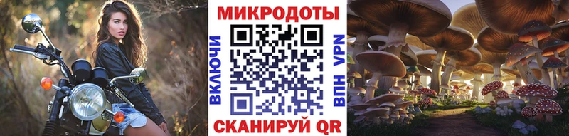 закладка  Муравленко  Псилоцибиновые грибы мухоморы 