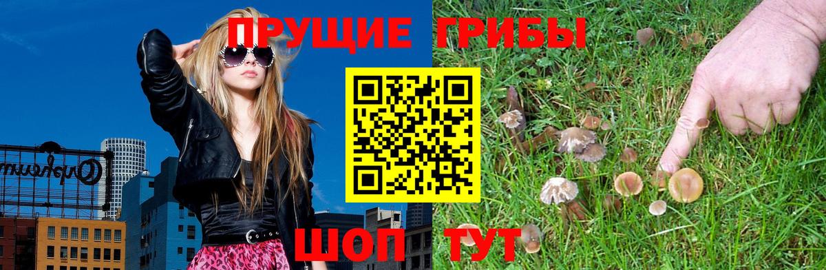 Муравленко  Псилоцибиновые грибы MAGIC MUSHROOMS  Вход с VPN 