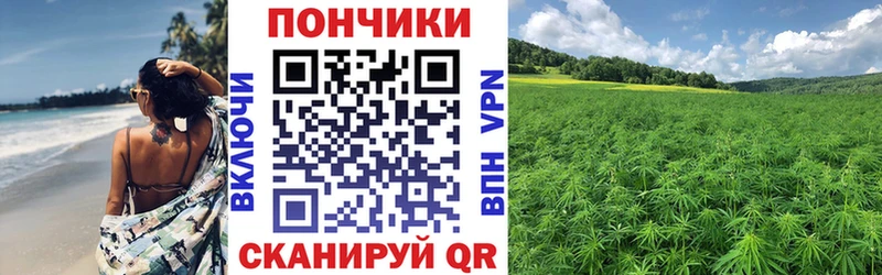 Канабис планчик  Муравленко 